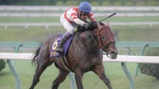 【根岸S予想】人気薄に潜む適性 AIが見抜く激走の予兆とは