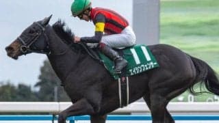 【シルクロードS】前年覇者のエイシンフェンサー 史上2頭目の連覇なるか