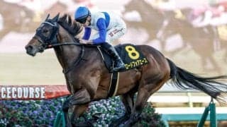 【シルクロードS出走馬・騎手確定】ロードフォアエース＆岩田望来騎手、ヤブサメ＆武豊騎手など18頭