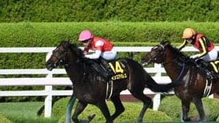 【根岸S出走馬・騎手確定】インユアパレス＆川田将雅騎手、エンペラーワケア＆西村淳也騎手など16頭