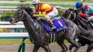 半兄は天皇賞(春)覇者のジャスティンパレス ダイヤモンドパレスがデビュー勝ち狙う