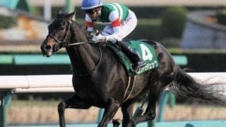 重賞3勝コントラチェックの初仔 カーブドフェザーがC.ルメール騎手でデビュー