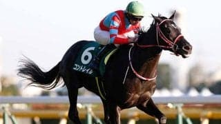 名曲「恋しさと せつなさと 心強さと」に由来？ ココロヅヨサがデビュー