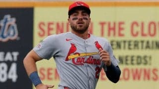 タッカー加入→26歳が失った“居場所”　ド軍在籍もわずか…オフだけで4球団をたらい回し