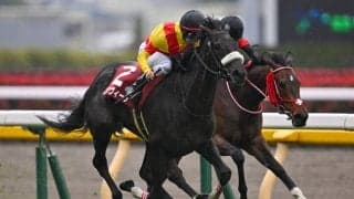 エリカヴィータが登録抹消…繁殖入り