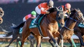 芝ダート両路線で一線級の産駒を輩出 ロードカナロア産駒のJRAダート重賞初制覇となった21年根岸S