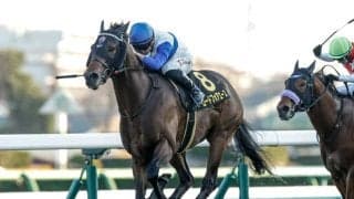 【シルクロードS枠順確定】ロードフォアエースは8枠16番、ヤブサメは6枠11番