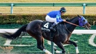 【根岸S枠順確定】ウェイワードアクトは1枠1番、インユアパレスは4枠8番