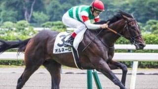 【クロッカスS】半姉は2歳女王のダノンファンタジー オルネーロがオープン初勝利なるか