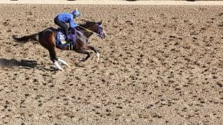 【根岸S／追い切り診断】ローテ意識の調整過程に「A」の高評価　猛時計マークで「スピード感たっぷり」