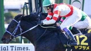 今週の武豊騎手は12鞍 ヤブサメでシルクロードSの9年ぶり3勝目なるか