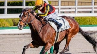 母は名牝ジェンティルドンナ アルジェンテーラが初勝利なるか