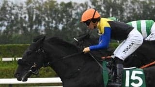 【東京新聞杯想定馬・騎手】ブエナオンダ、ウォーターリヒトなど16頭