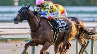 高速決着の小倉はパクスロマーナの粘り込みに期待 馬場傾向から導き出す注目馬とは