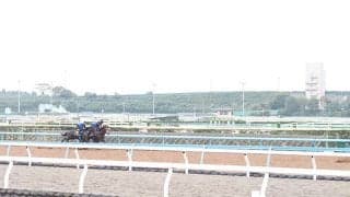 ふるさと納税でトレセン見学！ 美浦村が2月18日に村内ツアーを開催