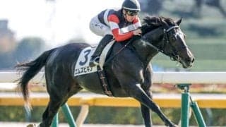 【きさらぎ賞想定馬・騎手】エムズビギン、ショウナンガルフなど11頭