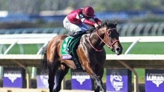 今週末は「フォーエバーヤング ブリーダーズカップクラシック優勝記念 根岸ステークス」 ポストカードやレーシングプログラムの配布も