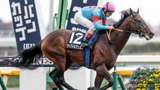 【今日の注目ポイント】開幕週東京の白富士Sでウィクトルウェルスが5連勝を狙う