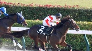 【競馬予想】好メンバーが集結した根岸Ｓでも、注目すべきは年明けの重賞戦線で躍動する明け４歳馬