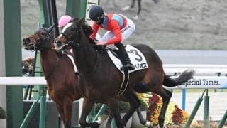 【京都5R新馬戦結果】キタサンブラック産駒バリオスが人気に応えて差し切りV