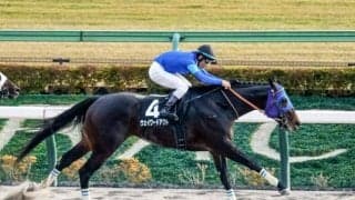 【根岸S予想】GI前哨戦は末脚の威力が重要!? 瞬発力に劣る大型馬に求められる好走条件とは