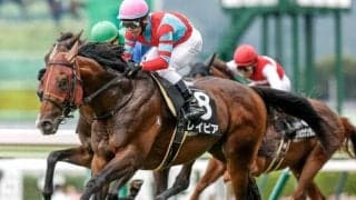 【シルクロードS予想】4歳馬は人気ほどの信頼が置けない!? 今年も期待を裏切りそうな軽視したい一頭とは