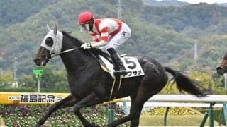 【シルクロードS前日オッズ】ヤブサメが3.7倍で1番人気