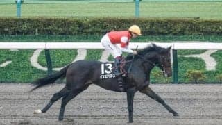 【根岸S前日オッズ】インユアパレスが3.5倍で1番人気