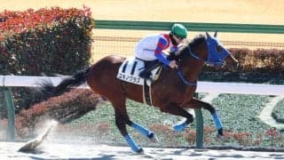 【新馬/東京4R】サンダースノー産駒 ユキノグラスがデビューV