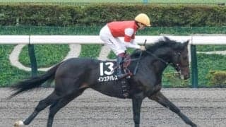 【AI予想・根岸S】ダート1400mでの安定感は抜群！ 過去傾向からも強く推せる人工知能の本命馬