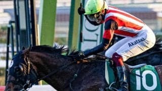 京都芝は差し優勢 好枠エーティーマクフィの重賞連勝だ