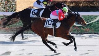 【東京8R】横山典弘騎手3000勝に王手！ペイシャケイプで通算2999勝目を決める