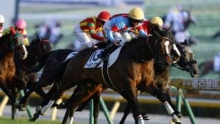 【東京12R】キング騎手騎乗アールヴィヴァンが快勝…今年6勝目をマーク