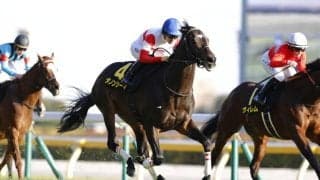 【白富士S】良血ダノンシーマがOP初勝利…4連勝中ウィクトルウェルスは3着