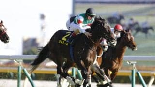【クロッカスS】良血オルネーロが2勝目