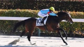 【東京7R】ルヴァンスレーヴ産駒 リベッチオが連勝