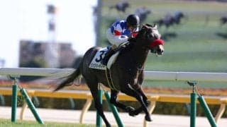 【新馬/東京5R】柴田善臣騎手が最年長勝利記録を更新