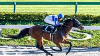 【今日の注目ポイント】東京で根岸Sと京都でシルクロードS