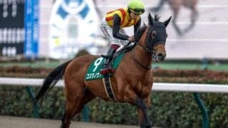 根岸Sは上位人気が堅調 7番人気以下の伏兵は2着1回、3着3回