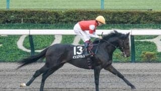 【根岸S予想】上がり最速馬が良績残す一戦 フェブラリーSへの最終関門を制すのは