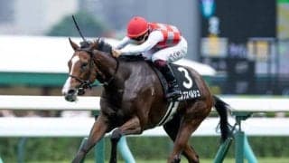 【シルクロードS予想】逃げ切り、押し切り困難な短距離戦 高松宮記念に向けて好発進を決めるのは