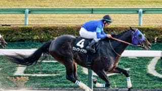 【根岸S予想】狙うのは好ポジからの上がり最速タイプ？ 過去データから探るGIII根岸S