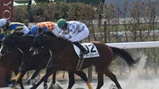 【京都4R新馬戦結果】ナダル産駒ティエラレイナが接戦を制す