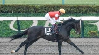 【根岸S・馬体重】インユアパレスは488kg(±0)、エンペラーワケアは542kg(+11)