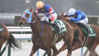 【JRA・WIN5】今年初の的中者ゼロ！ 5億3990万5240円のキャリーオーバー！