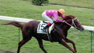 ウマ娘でも「サイボーグ」と呼ばれるミホノブルボン　最高峰の舞台でその真髄を存分に示した