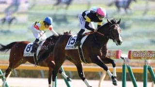 【新馬/東京5R】ロードカナロア産駒 アスクイキゴミがデビューV