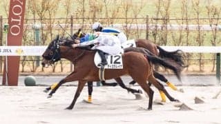 【新馬/京都4R】ナダル産駒 ティエラレイナがゴール前の接戦を制する