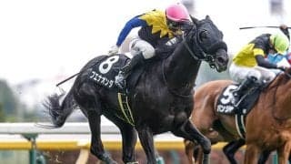 【東京新聞杯】ブエナオンダ、ウォーターリヒトらが登録