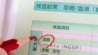 糖尿病の原因 - なぜ血糖値が上がるのか？発症メカニズムをわかりやすく解説